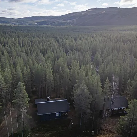 Northgray By Aavalevi